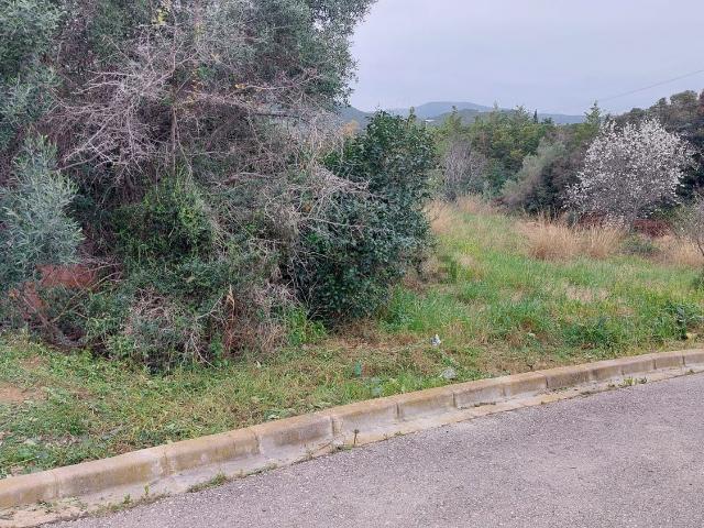 Terreno en venta en Baix Penedès, Catalunya