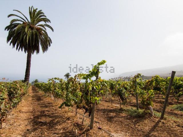 Terreno en venta en Santa Úrsula, Canarias