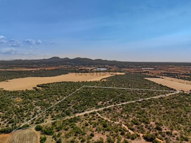 Terreno en venta en Migjorn, Baleares
