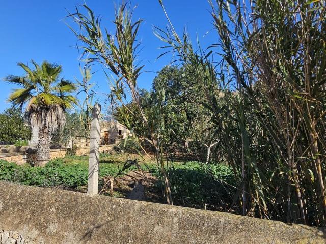 Terreno en venta en es Llombards, Migjorn