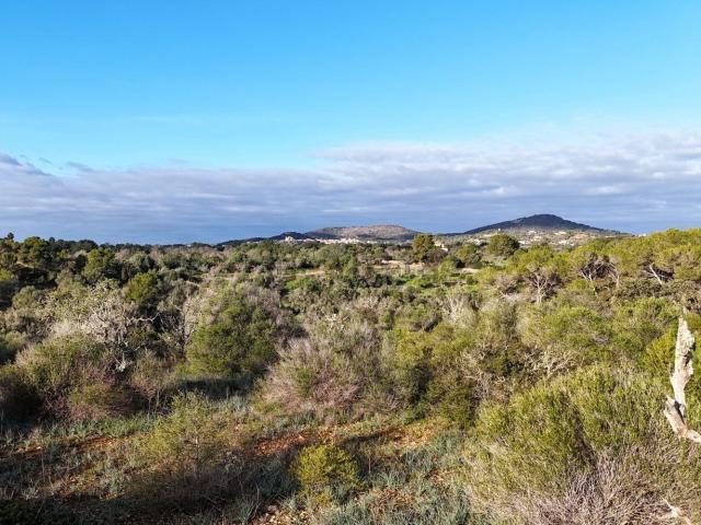 Terreno en venta en Calonge, Migjorn