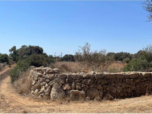 Terreno en venta en s'Alqueria Blanca, Migjorn