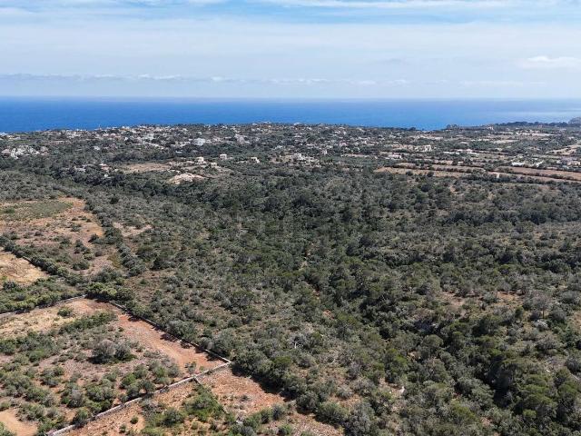 Terreno en venta en Cala Santanyí, Migjorn