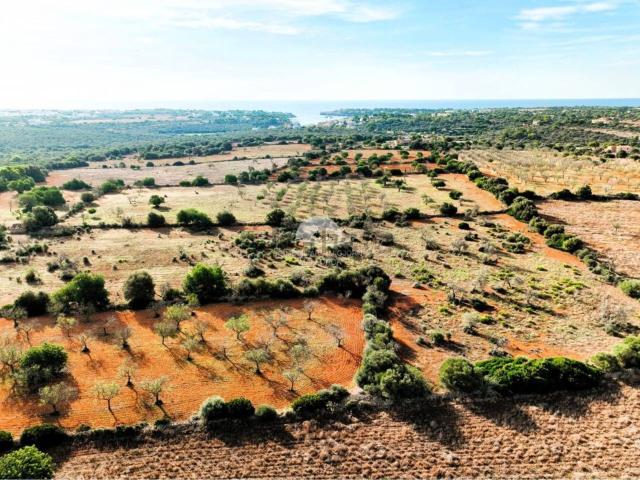 Terreno en venta en Calonge, Migjorn