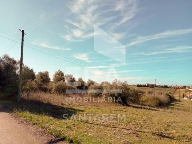 Terreno venda em Santarém