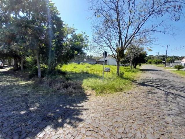Terreno venda em Imigrantes, Santo Antônio da Patrulha