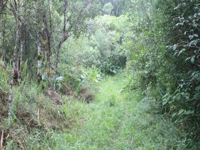 Terreno venda em Região Geográfica Imediata de Juiz de Fora, Bocaina de Minas