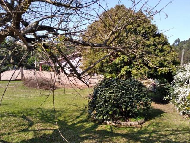 Terreno venda em Região Geográfica Imediata de Montenegro, Região Metropolitana de Porto Alegre