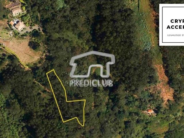 Terreno venda em Santa Cruz