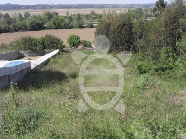 Terreno venda em Montemor-o-velho, Coimbra