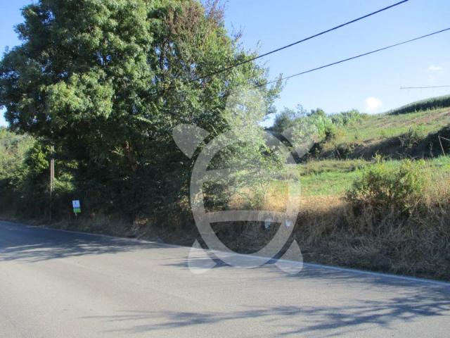 Terreno venda em Montemor-o-velho, Coimbra