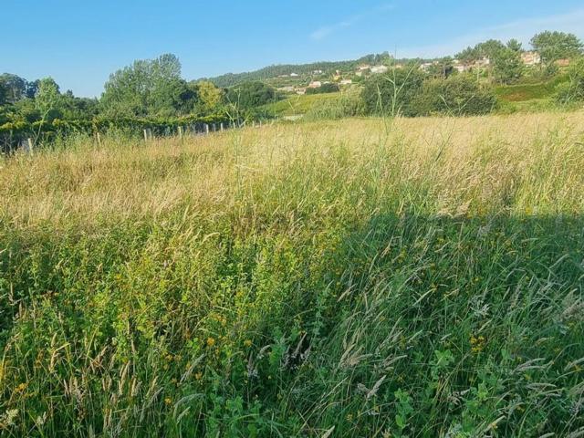 Terreno en venta en Mourelos, O Salnés