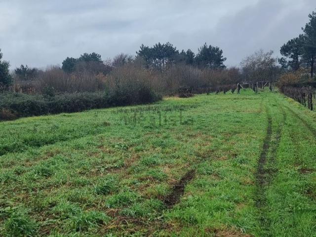 Terreno en venta en O Salnés, Galicia