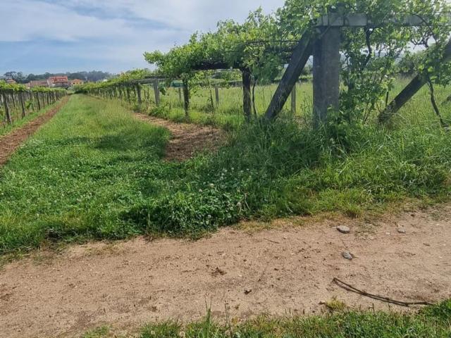 Terreno en venta en Arra, O Salnés