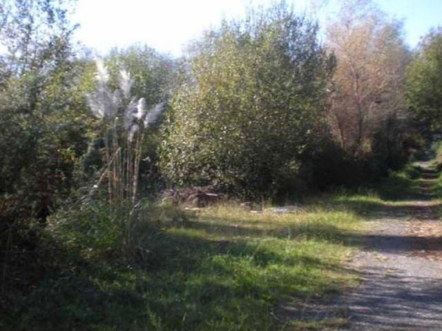 Terreno en venta en O Tombelo, O Salnés