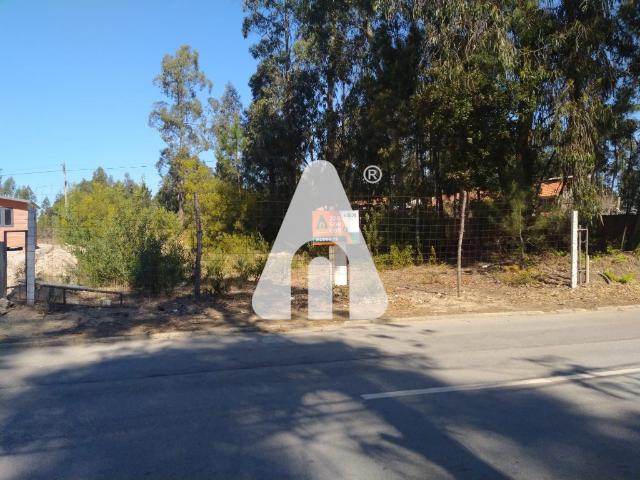 Terreno venda em Roçadas de Espinhos, Ovar