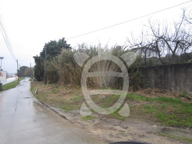 Terreno venda em Coimbrã, Botão