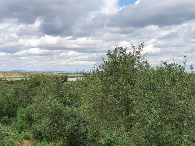 Terreno en venta en Los Monegros, Aragón