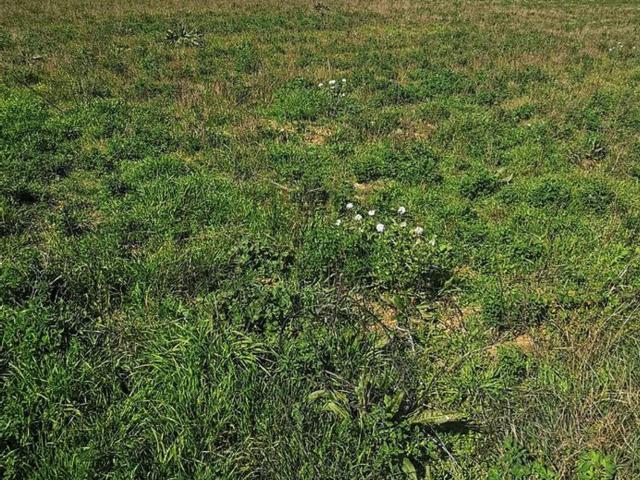 Terreno en venta en Los Monegros, Aragón