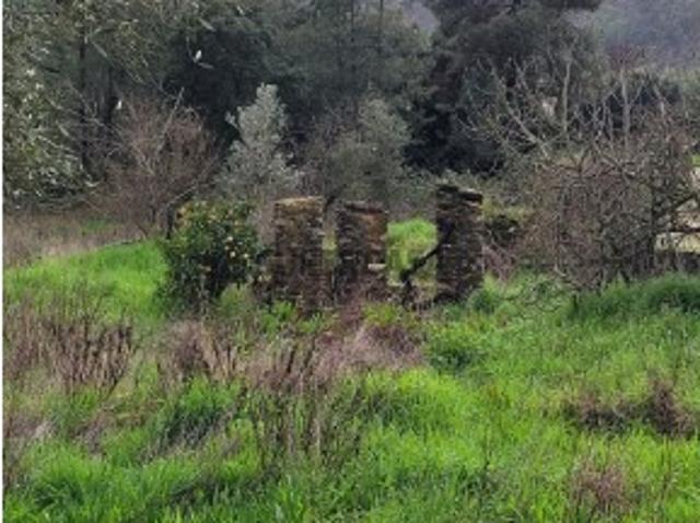 Terreno venda em Castelo Branco, Vila Velha De Ródão