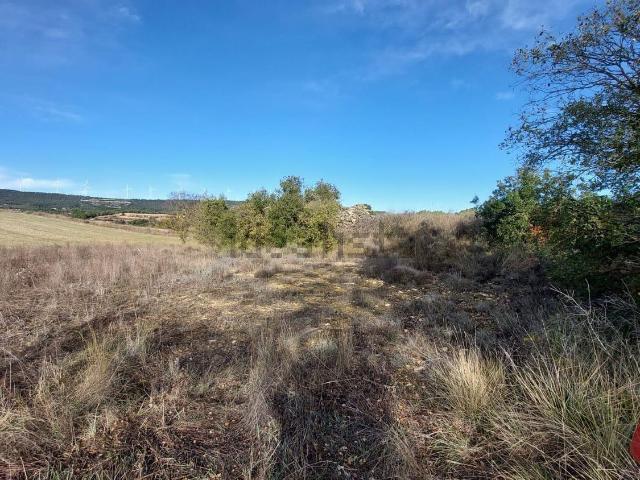 Terreno en venta en Conca de Barberà, Catalunya