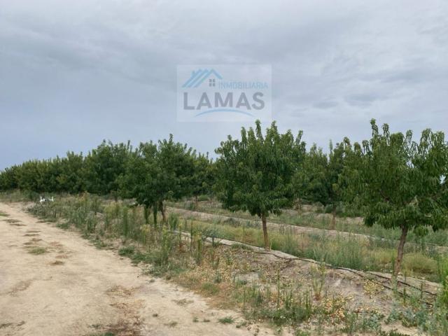 Terreno en venta en Saucedilla, Cáceres