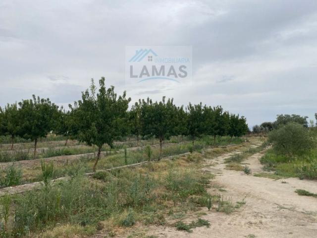 Terreno en venta en Saucedilla, Extremadura