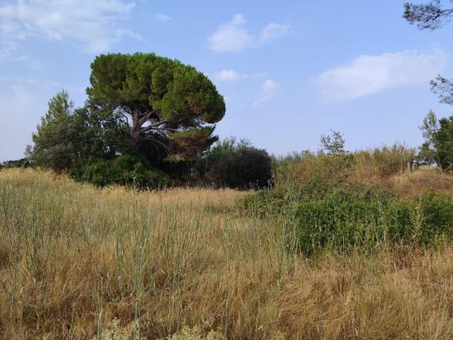 Terreno en venta en Camallera, Alt Empordà