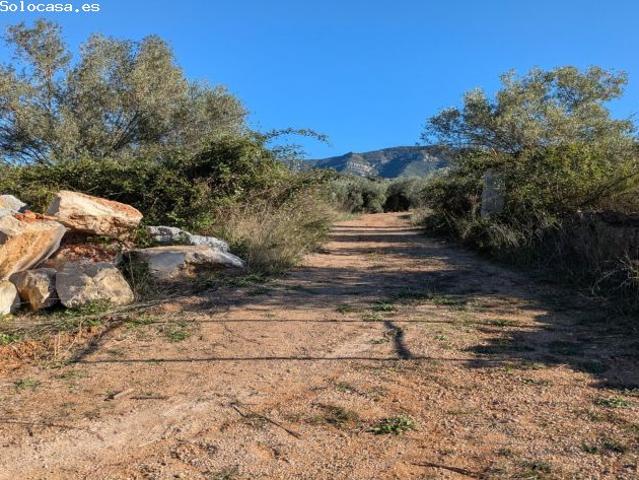 Local Comercial en venta en Freginals, Tarragona