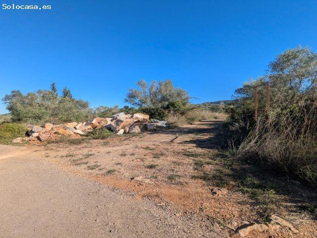Local Comercial en venta en Montsià, Catalunya