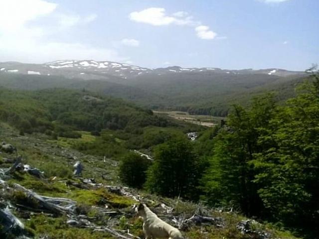 ESTERO LAS GOLONDRINAS 191HA, LAGO VERDE