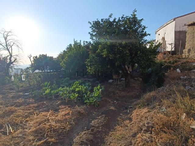 Terreno en venta en Segura De Toro, Extremadura