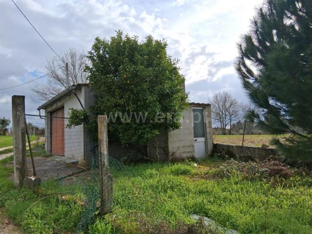 Terreno venda em Guarda, Seia