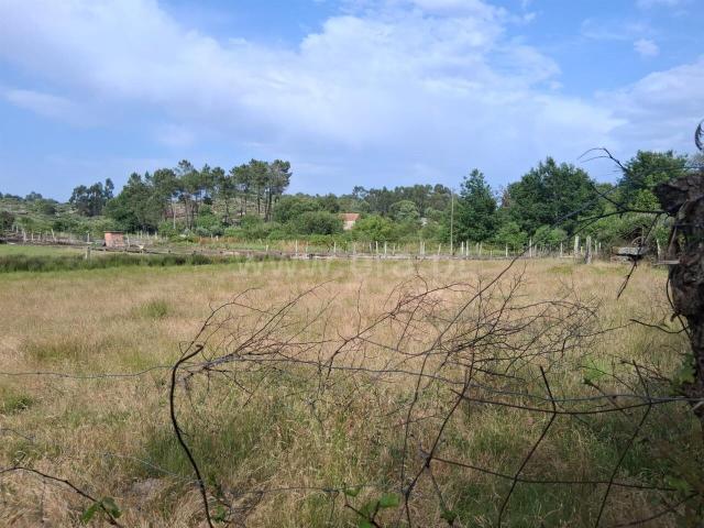 Terreno venda em Guarda, Seia