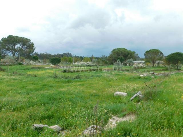 Terreno venda em Guarda, Seia