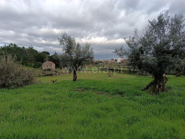 Terreno venda em Guarda, Seia