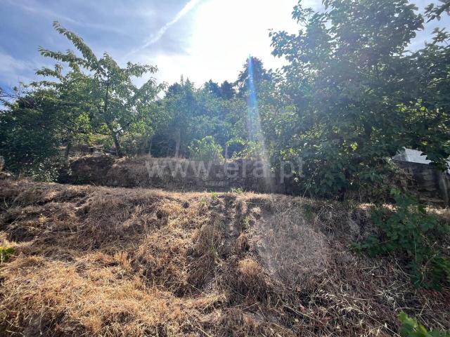 Terreno venda em Guarda, Seia