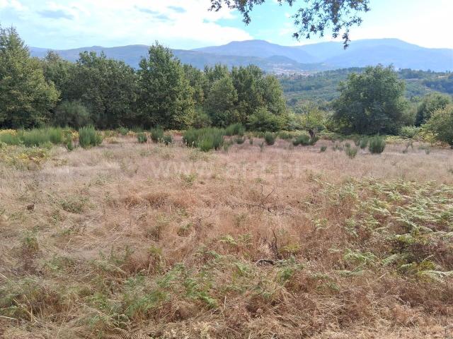 Terreno venda em Guarda, Seia