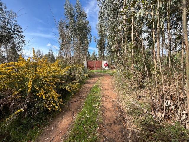 Terreno venda em Guarda, Seia