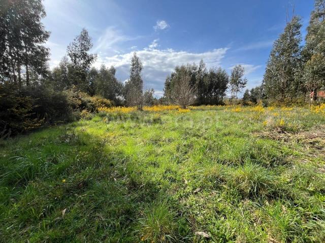 Terreno venda em Guarda, Seia