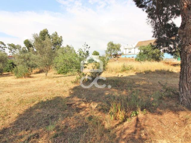 Terreno alugar em Seixal, Arrentela