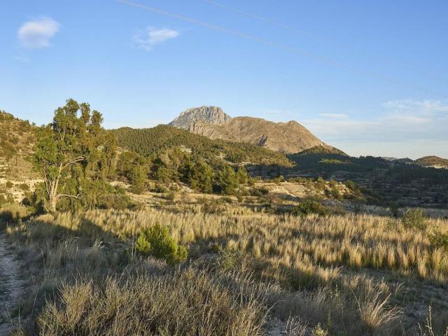 Terreno en venta en la Marina Baixa, Valencia