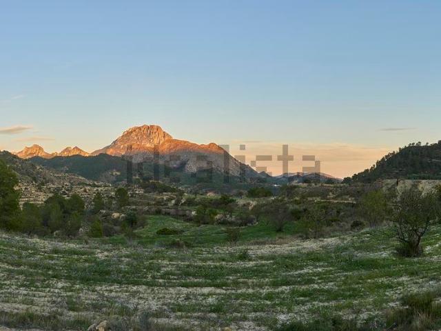 Terreno en venta en la Marina Baixa, Valencia