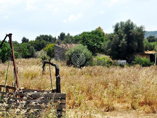 Terreno en venta en Moscari, Raiguer