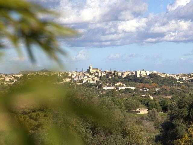 Terreno en venta en Moscari, Raiguer
