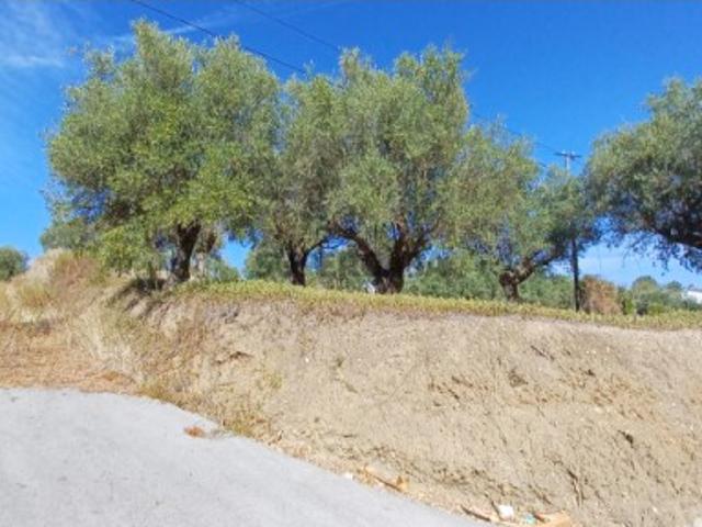 Terreno venda em Casal das Bernardas, Tomar