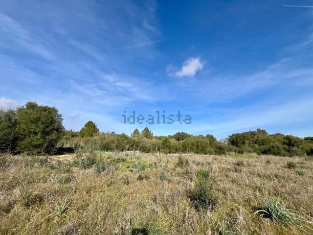 Terreno en venta en Pla de Mallorca, Baleares