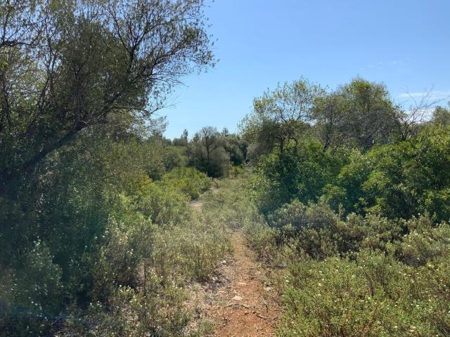 Terreno en venta en Pla de Mallorca, Baleares
