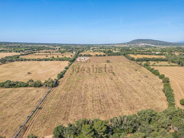 Terreno en venta en Pla de Mallorca, Baleares