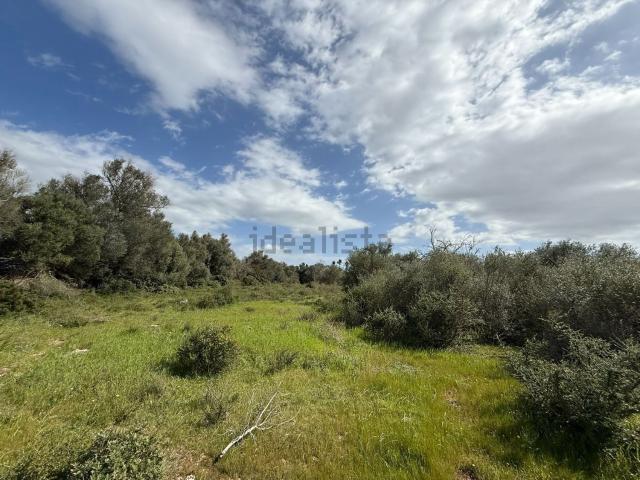 Terreno en venta en Pla de Mallorca, Baleares